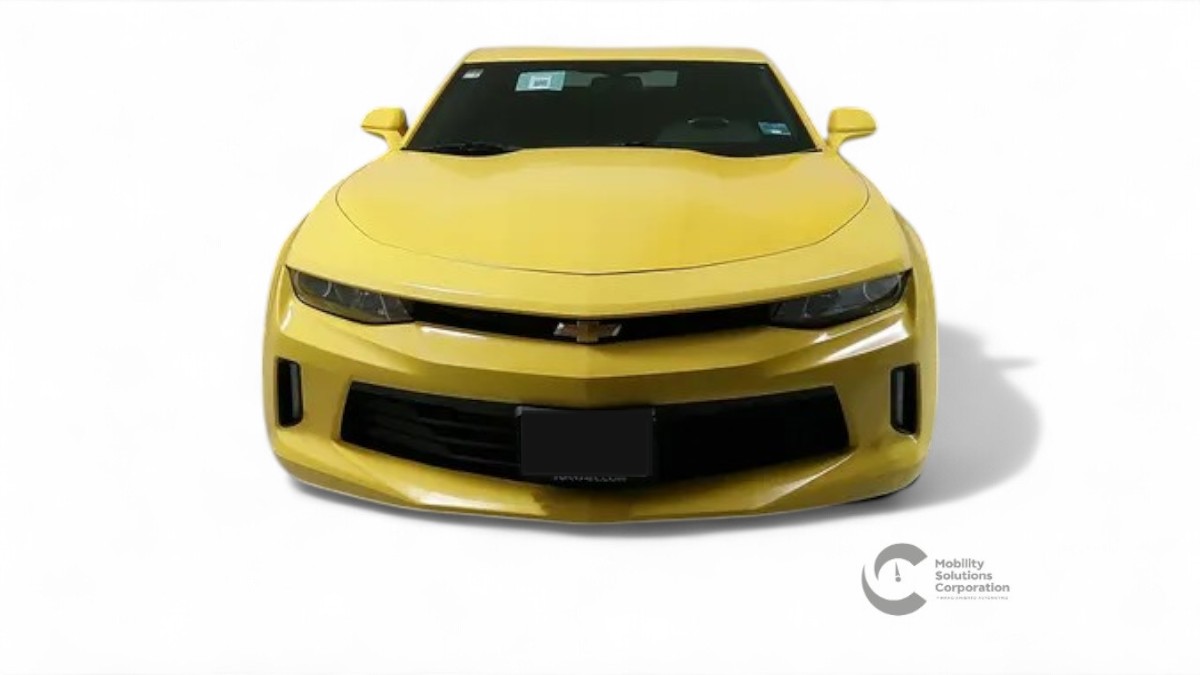 Auto 1